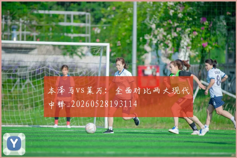 本泽马vs莱万：全面对比两大现代中锋_20260528193114