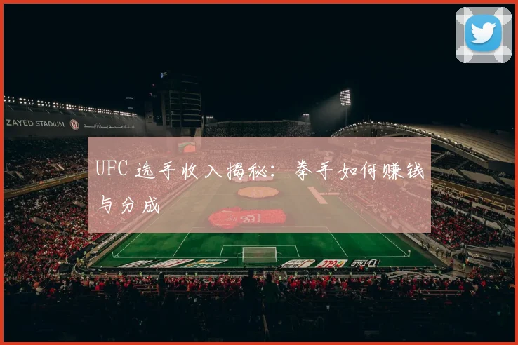 UFC 选手收入揭秘：拳手如何赚钱与分成